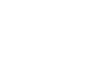 stanga