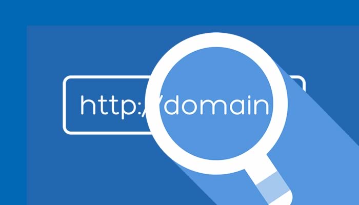 inregistrare domeniu web